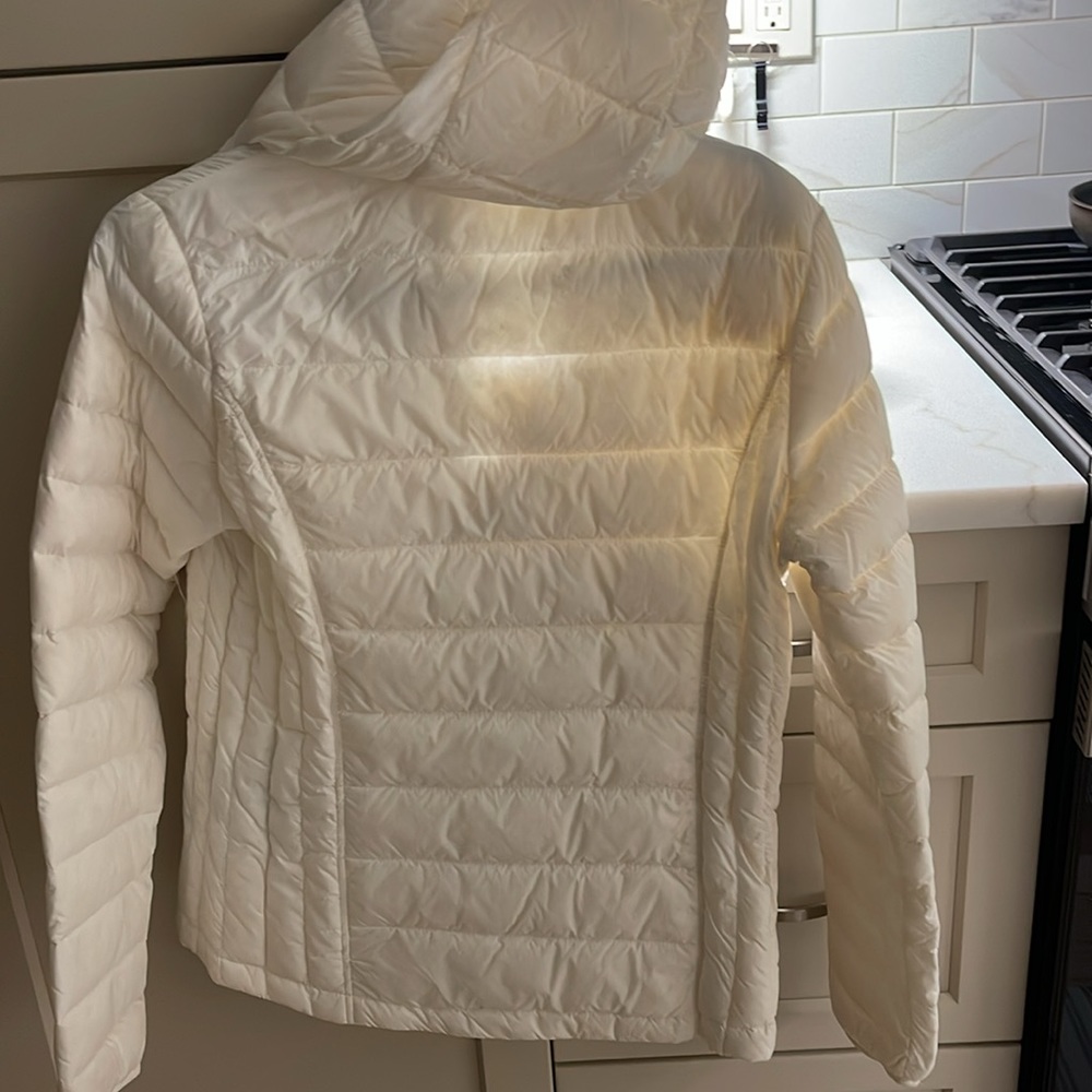 White Shelltop - Picture 5 of 5